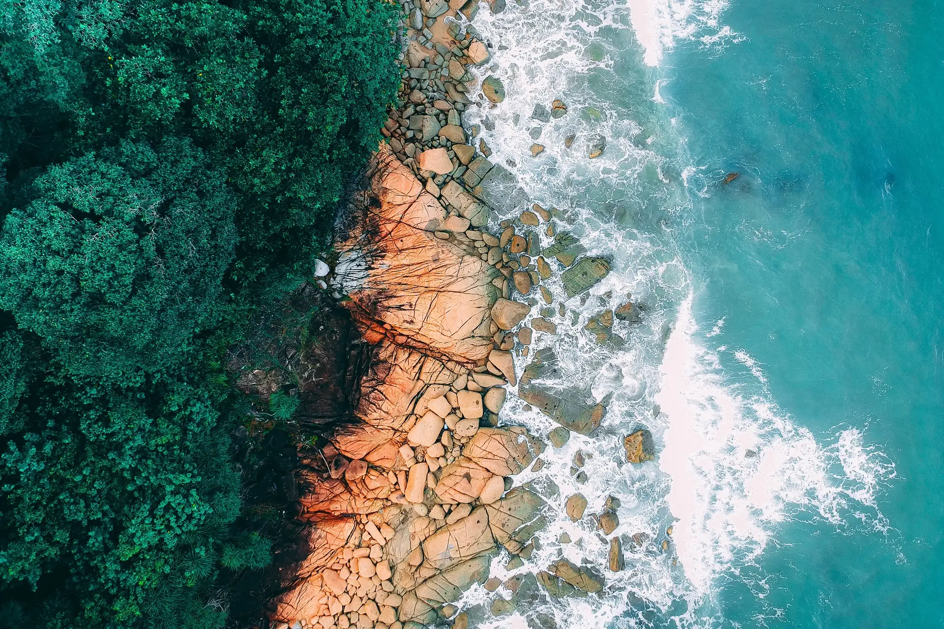 a_rocky_beach_with_trees_and_water.jpg