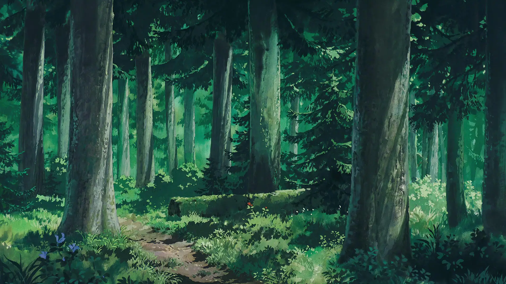 a_forest_with_tall_trees_and_grass.jpeg