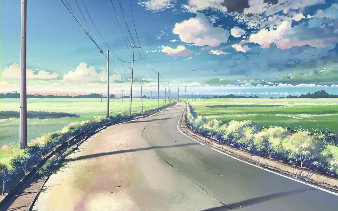 a_road_with_power_lines_and_grass_fields.jpg