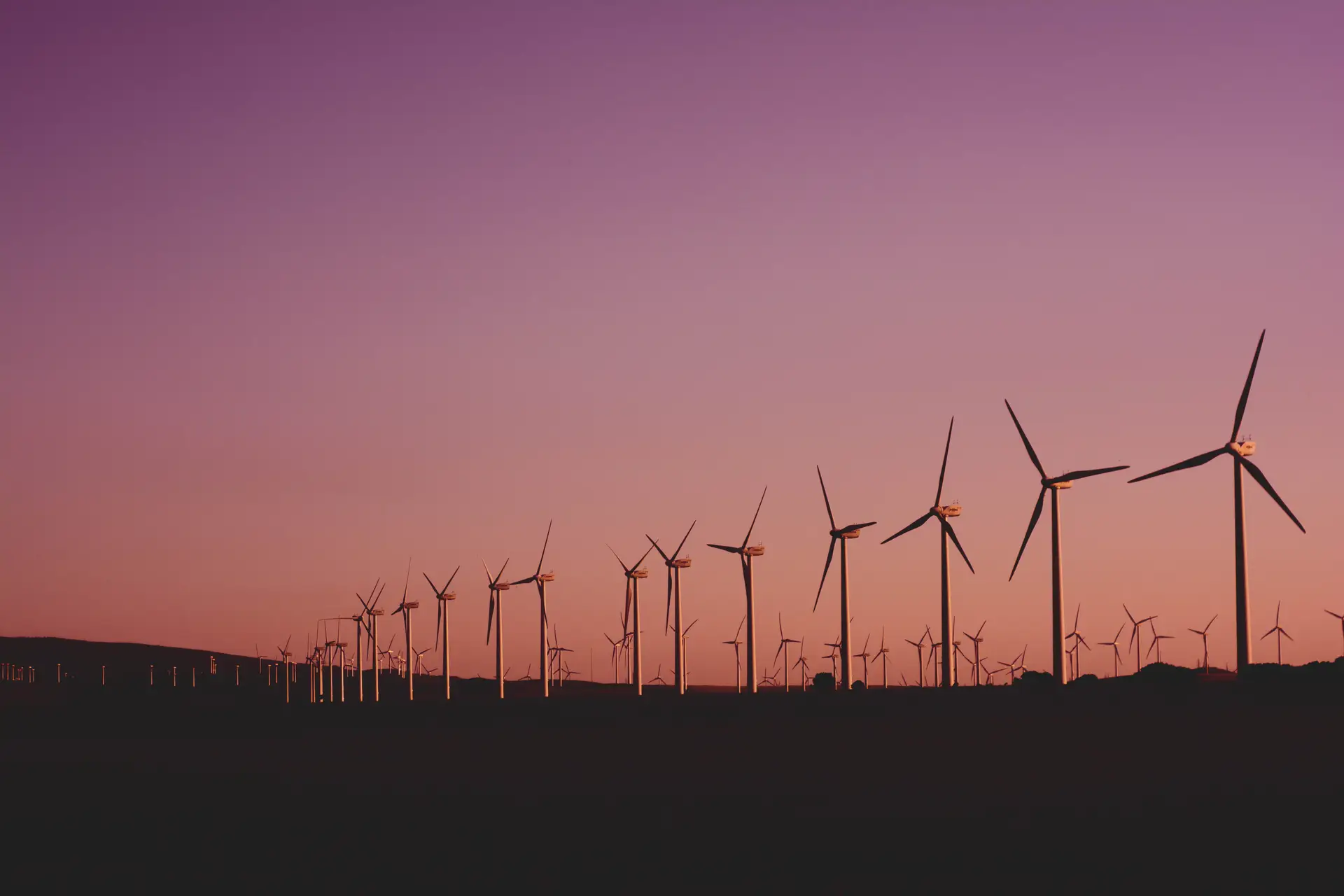 a_group_of_windmills_in_a_field.jpg