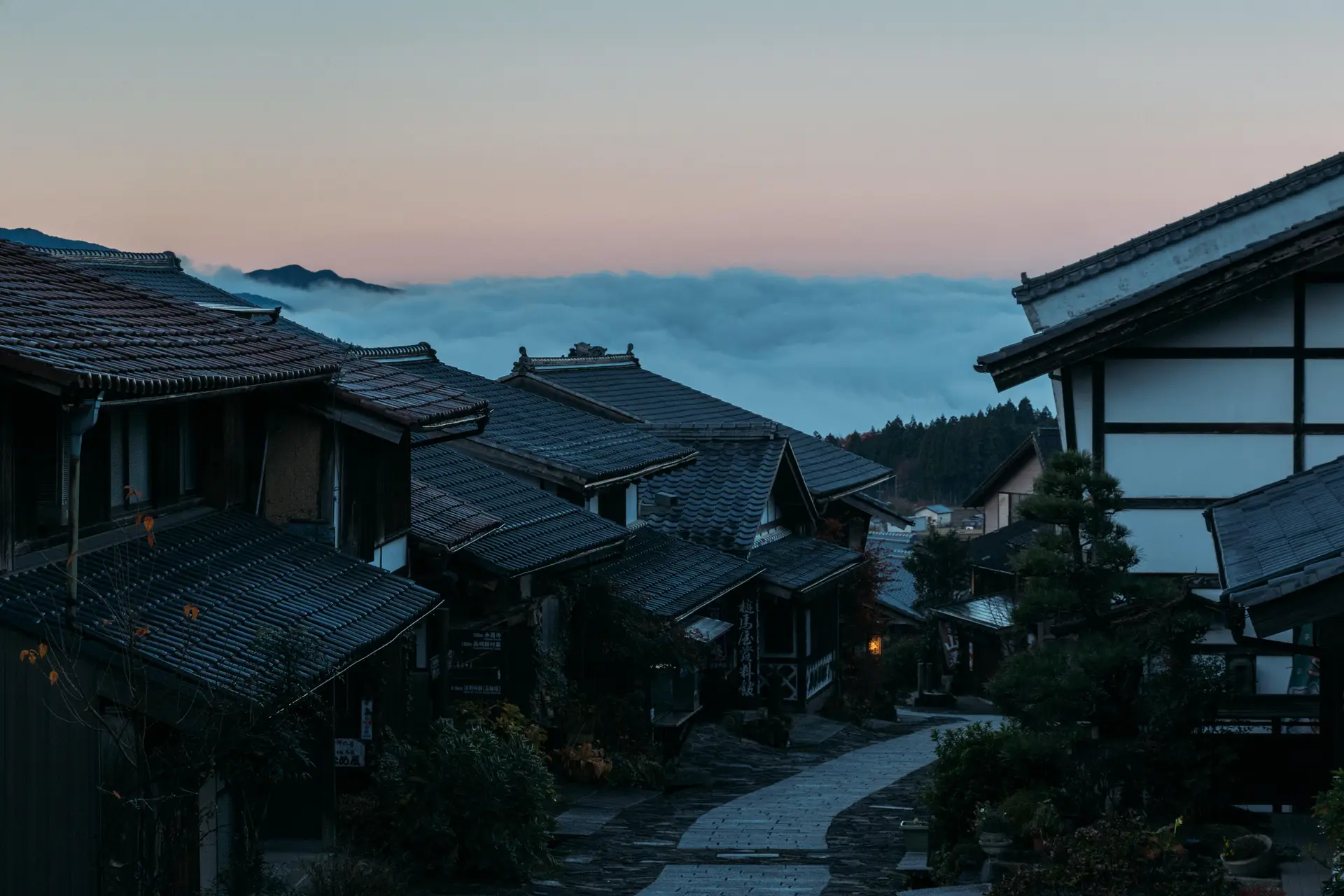 a_street_with_houses_and_trees.jpg