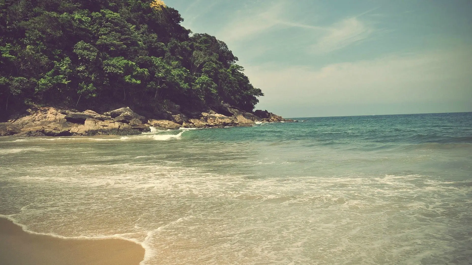 a_beach_with_trees_on_the_side.jpg