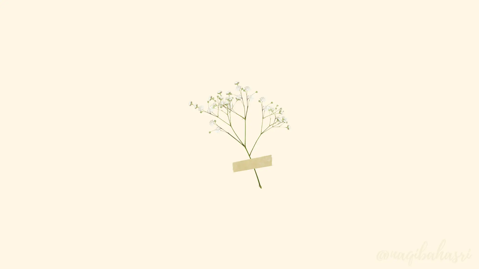 a_plant_with_white_flowers_and_a_tape.png