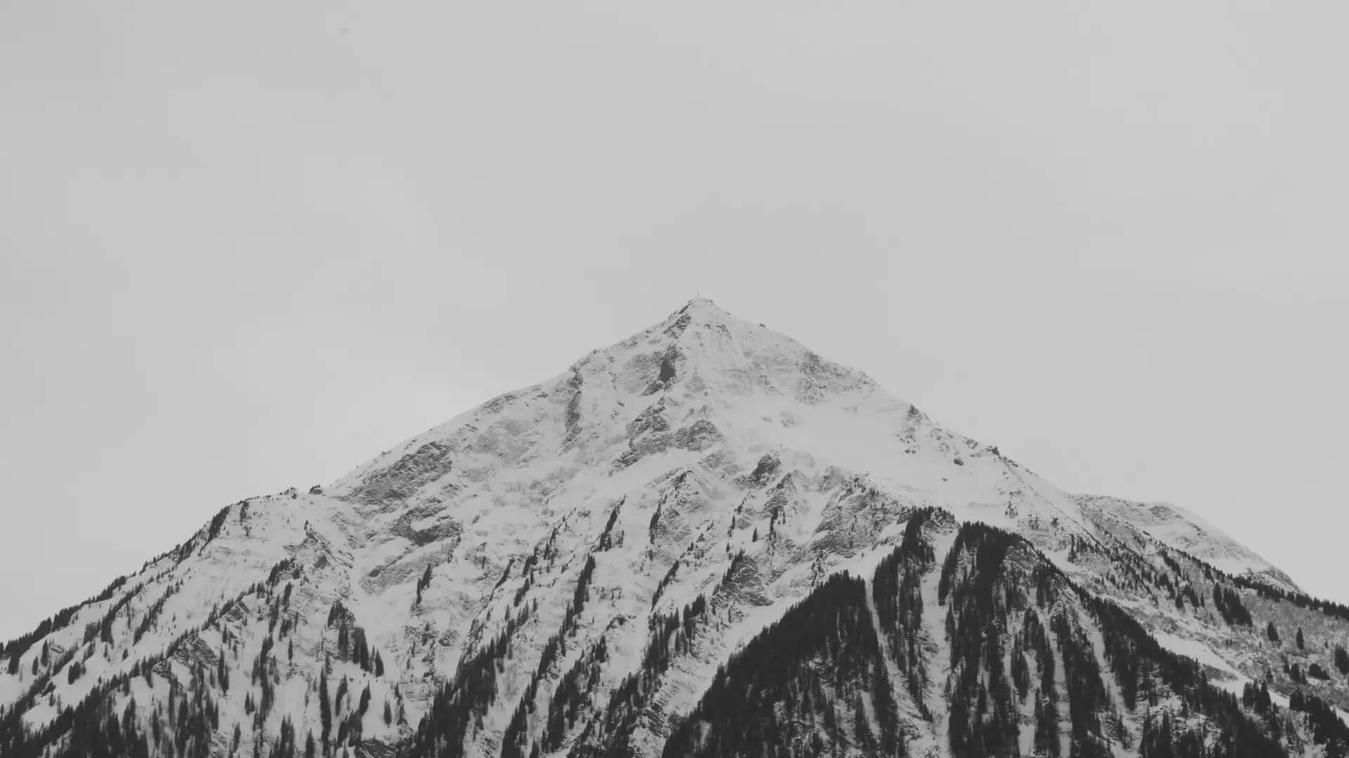 a_mountain_with_snow_and_trees.jpg