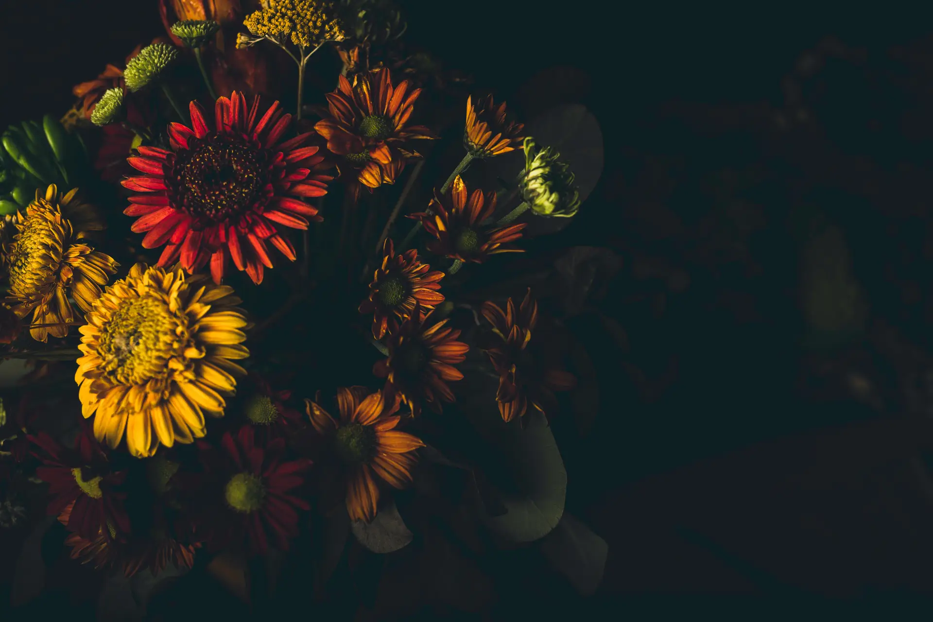 a_bouquet_of_flowers_in_a_dark_room.jpg