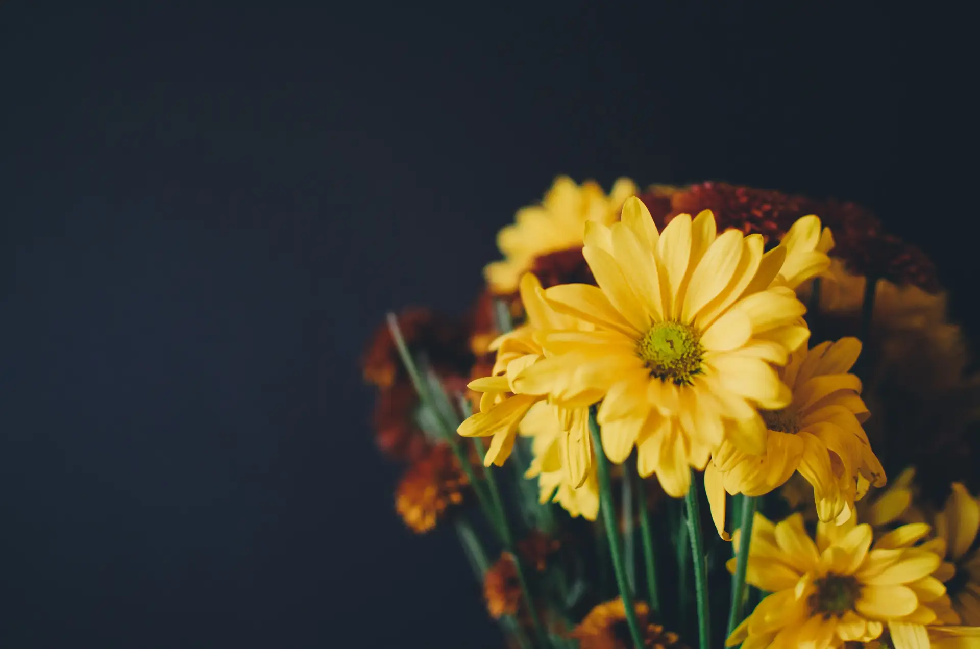 a_close_up_of_yellow_flowers.jpg