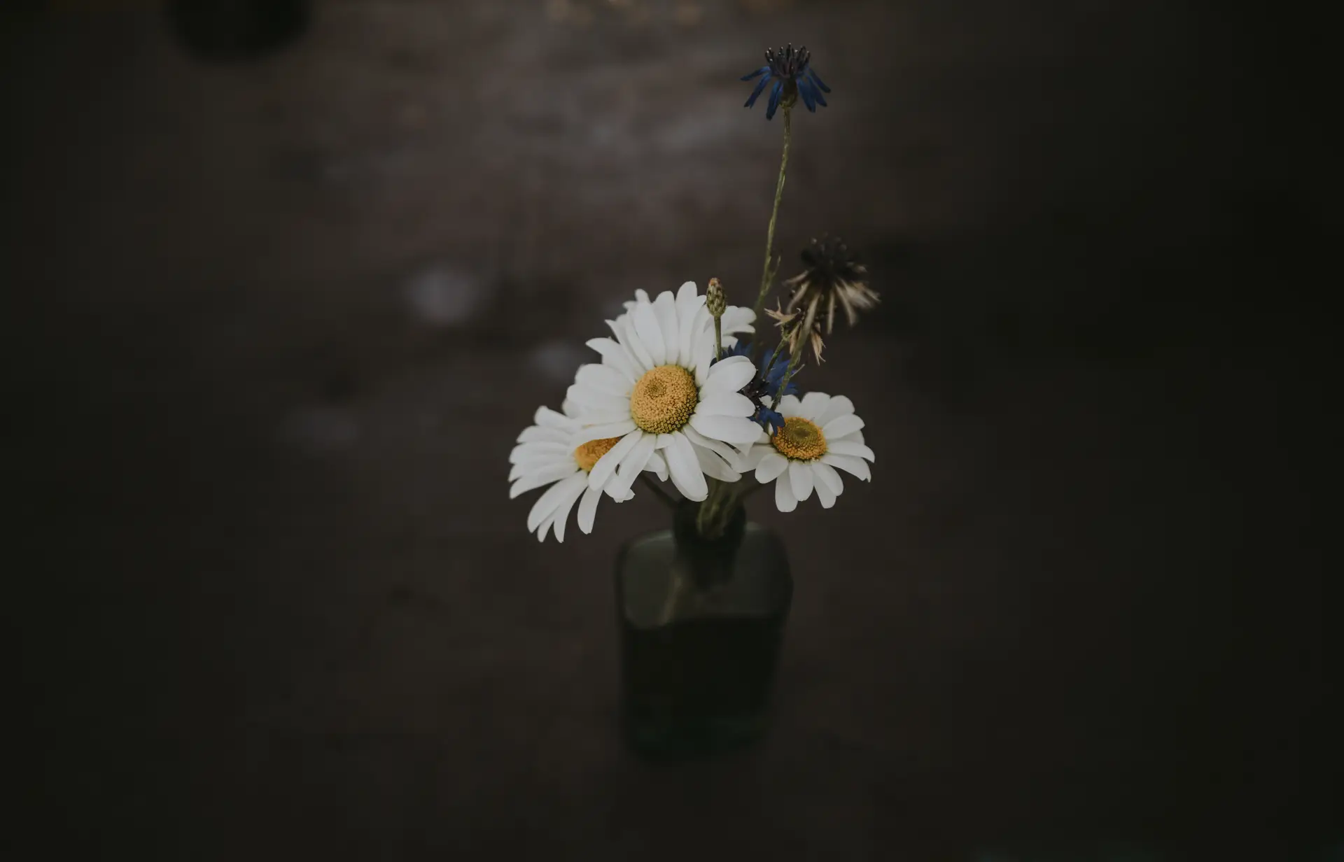 a_white_and_yellow_flowers_in_a_glass_vase.jpg