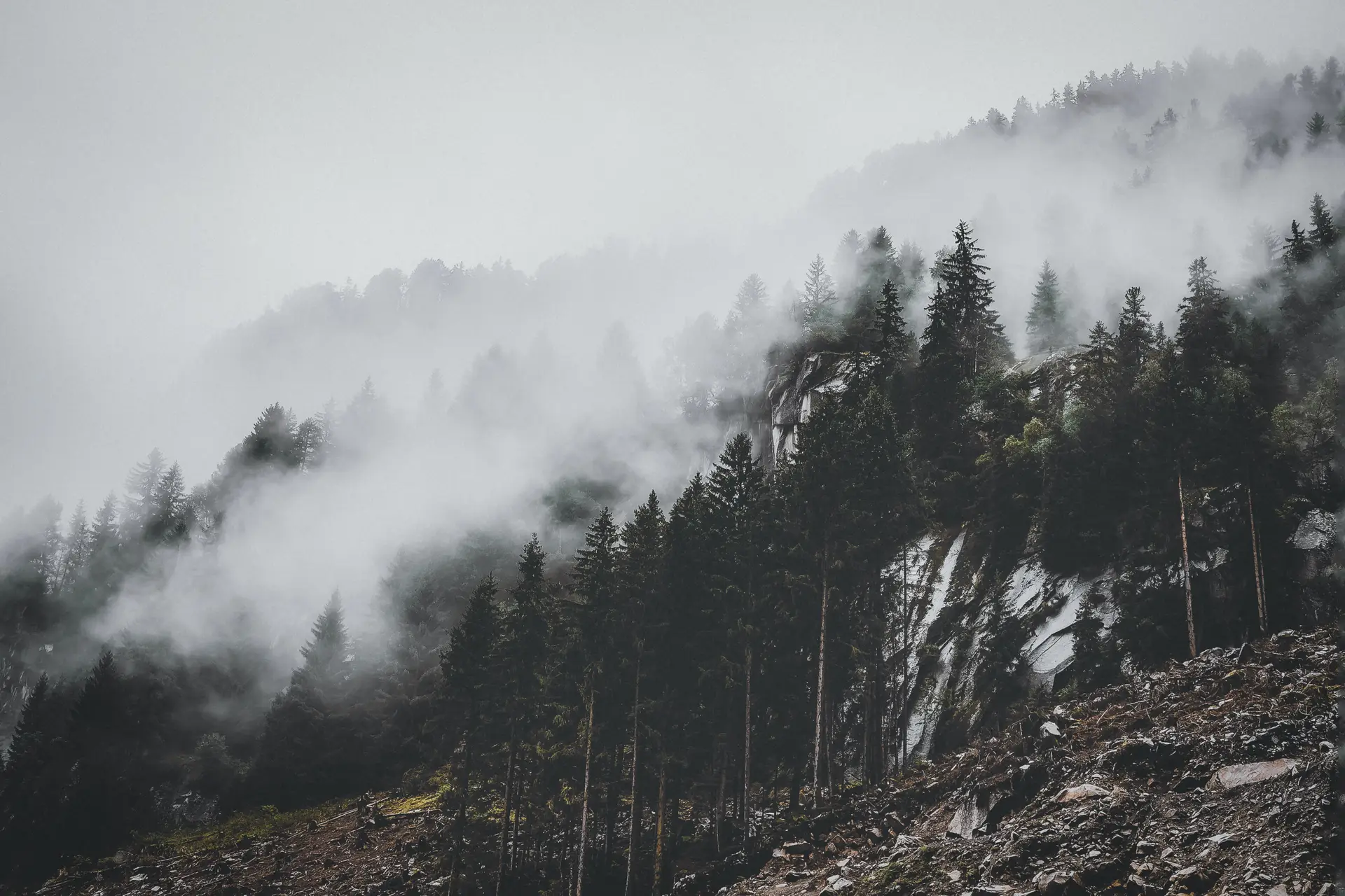 a_foggy_mountain_with_trees.png