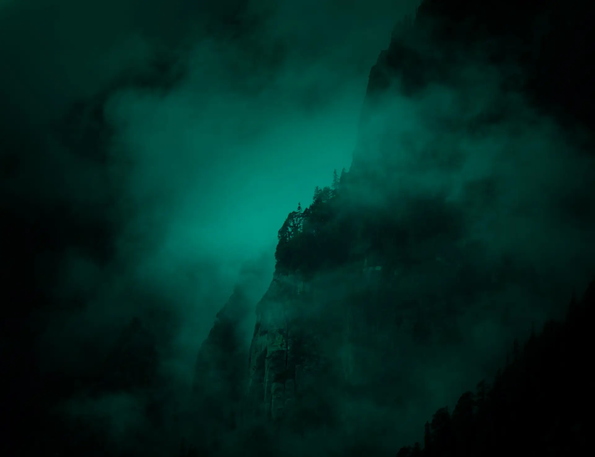 a_foggy_mountain_with_trees_01.jpg