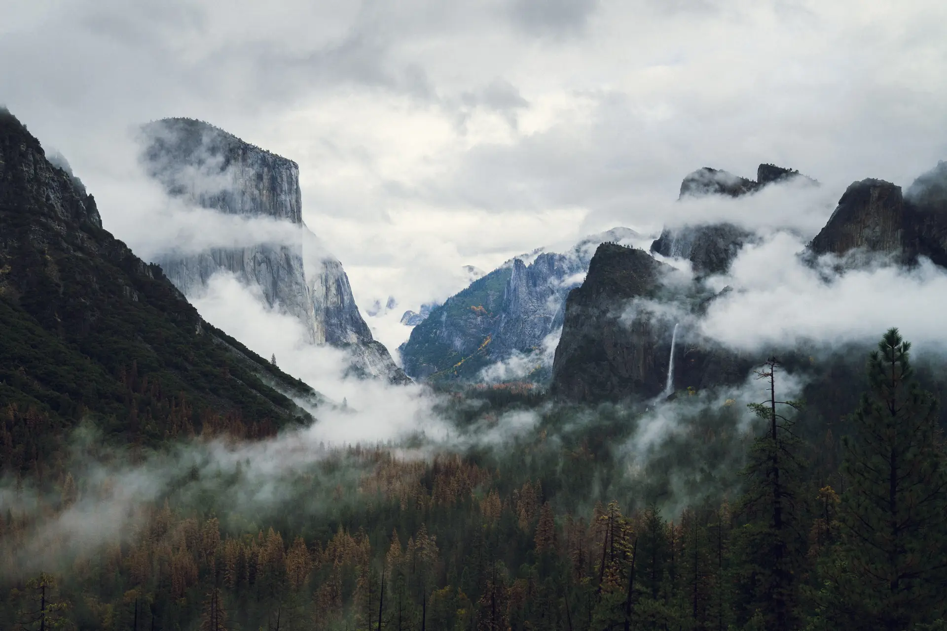 a_valley_with_trees_and_mountains.jpg