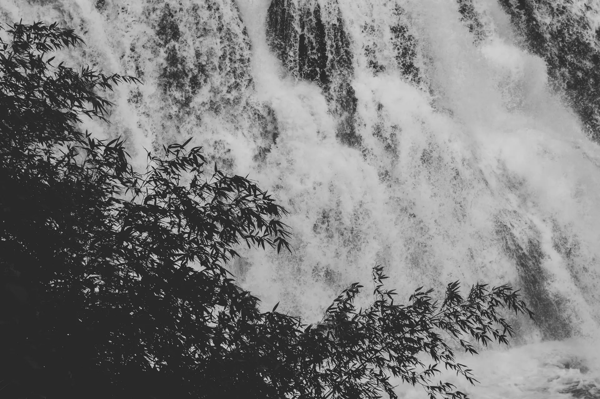 a_waterfall_with_trees_in_the_background.jpg