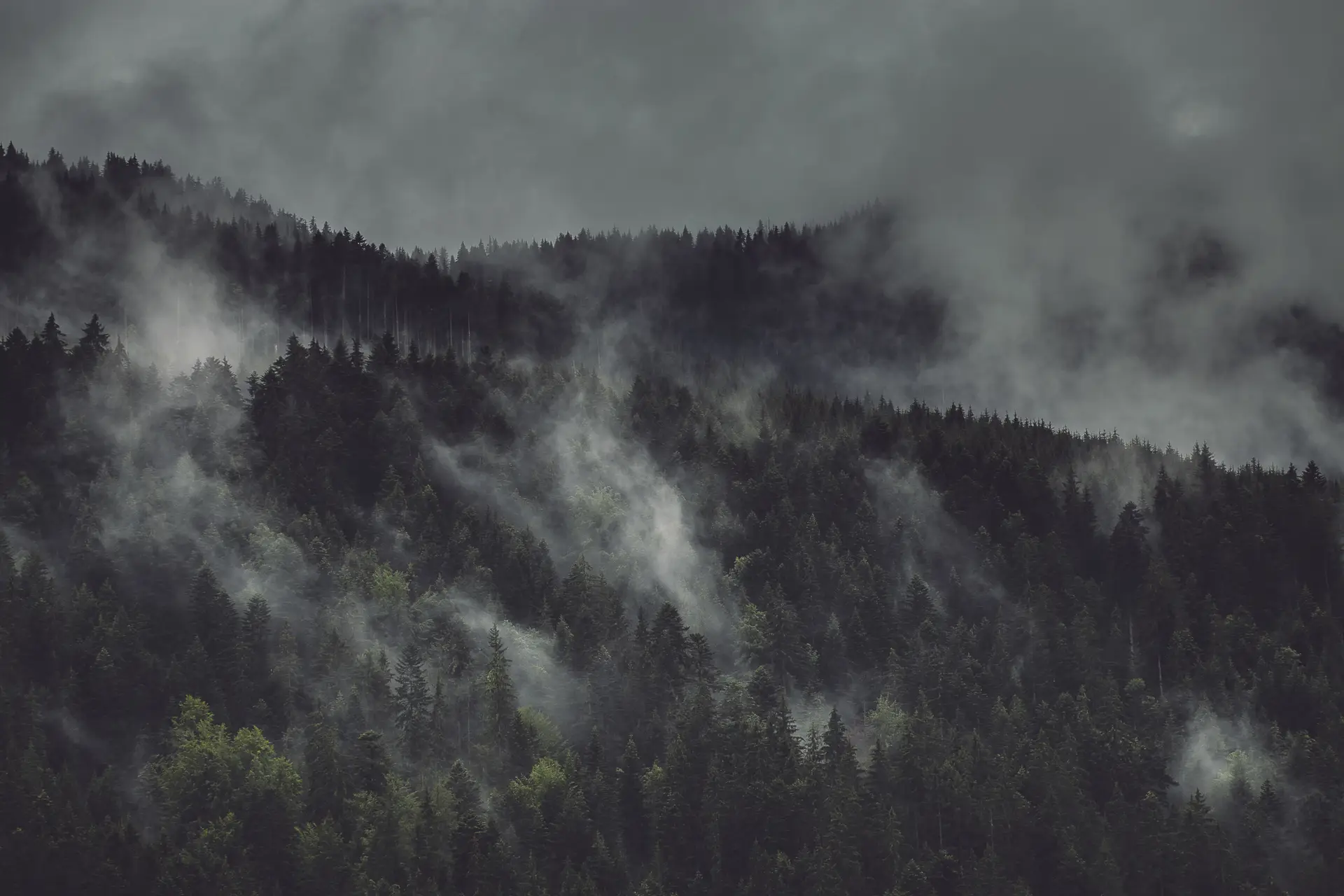 foggy_forest_with_clouds_in_the_sky.jpg