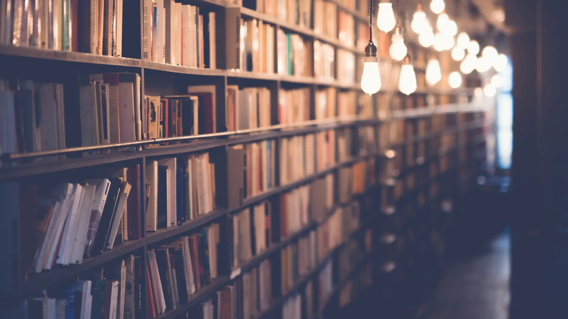 a_bookshelf_with_lights_from_the_ceiling.jpeg