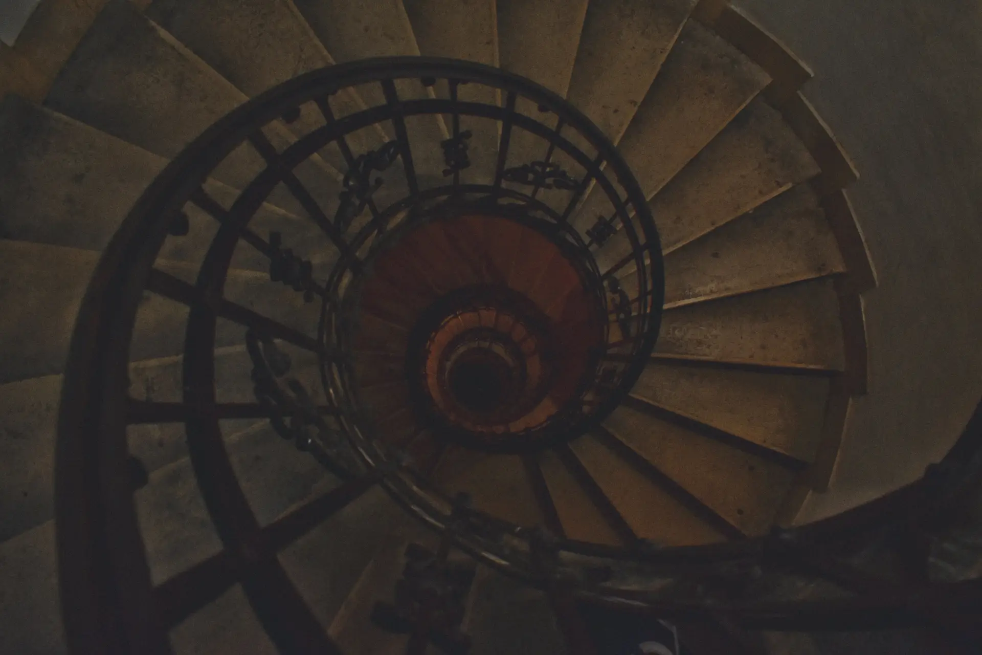 a_spiral_staircase_with_a_black_railing.jpg