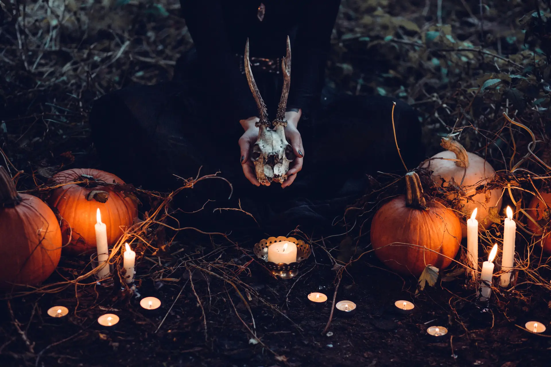 a_person_holding_a_skull_and_pumpkins.jpg