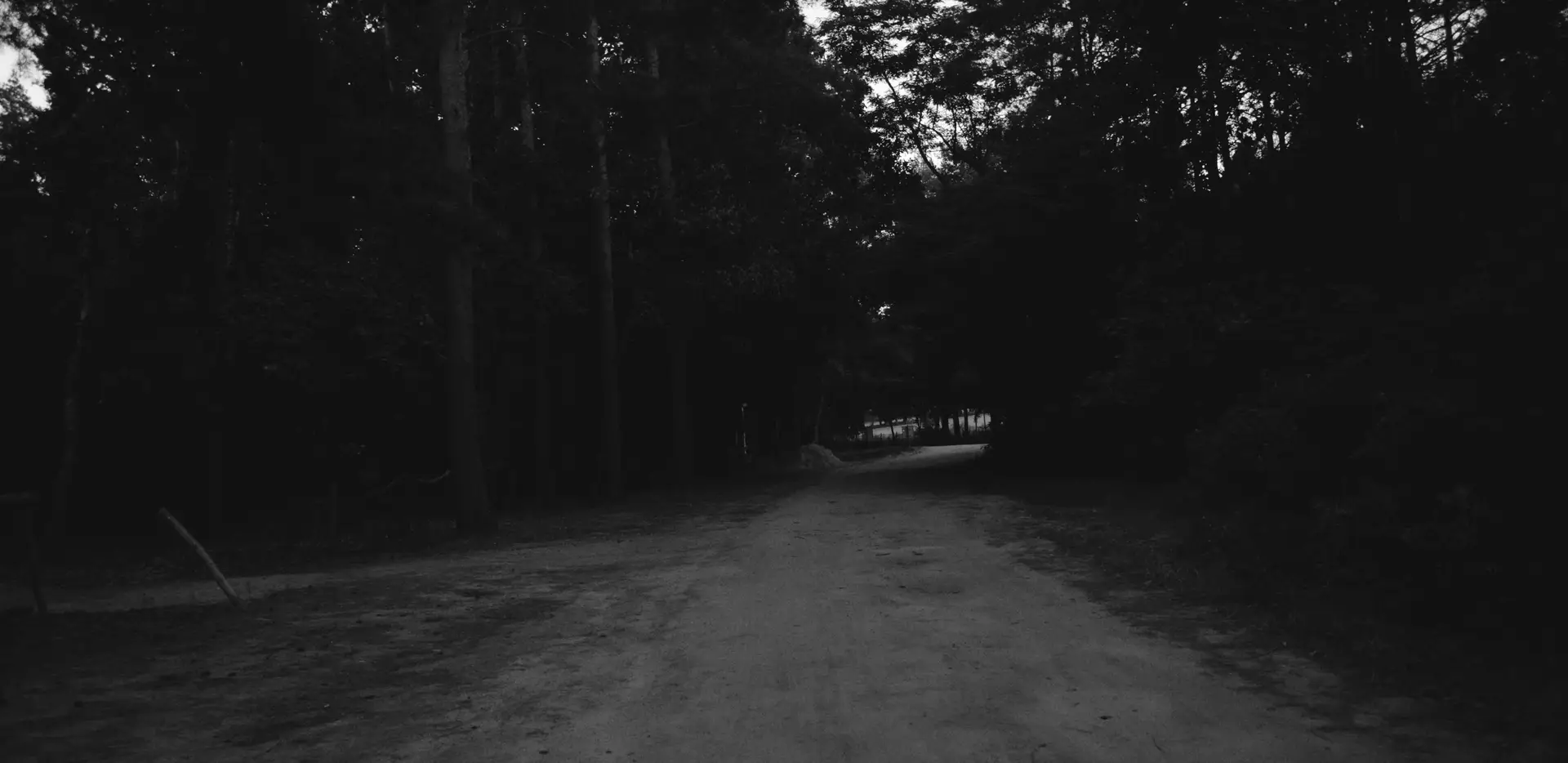 a_dirt_road_with_trees_in_the_background.jpg