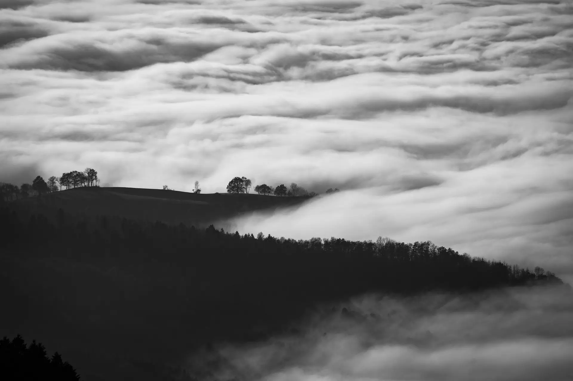 a_foggy_landscape_with_trees_and_clouds.jpg