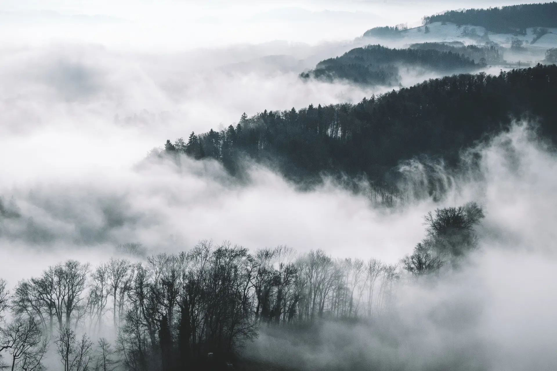 a_foggy_landscape_with_trees_and_hills.jpg