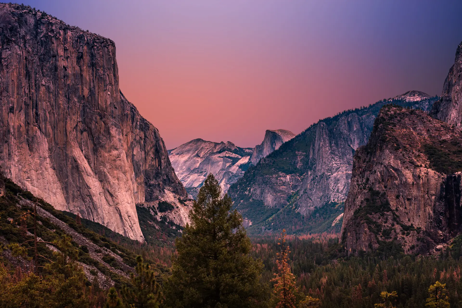 a_mountain_range_with_trees_and_a_valley.jpg