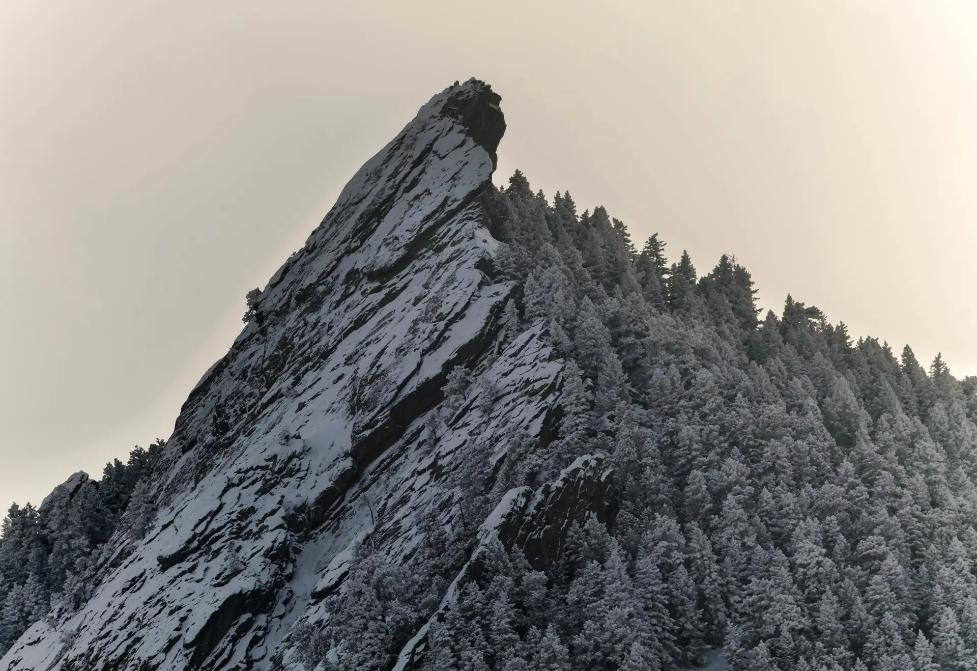 a_mountain_with_snow_and_trees.jpg