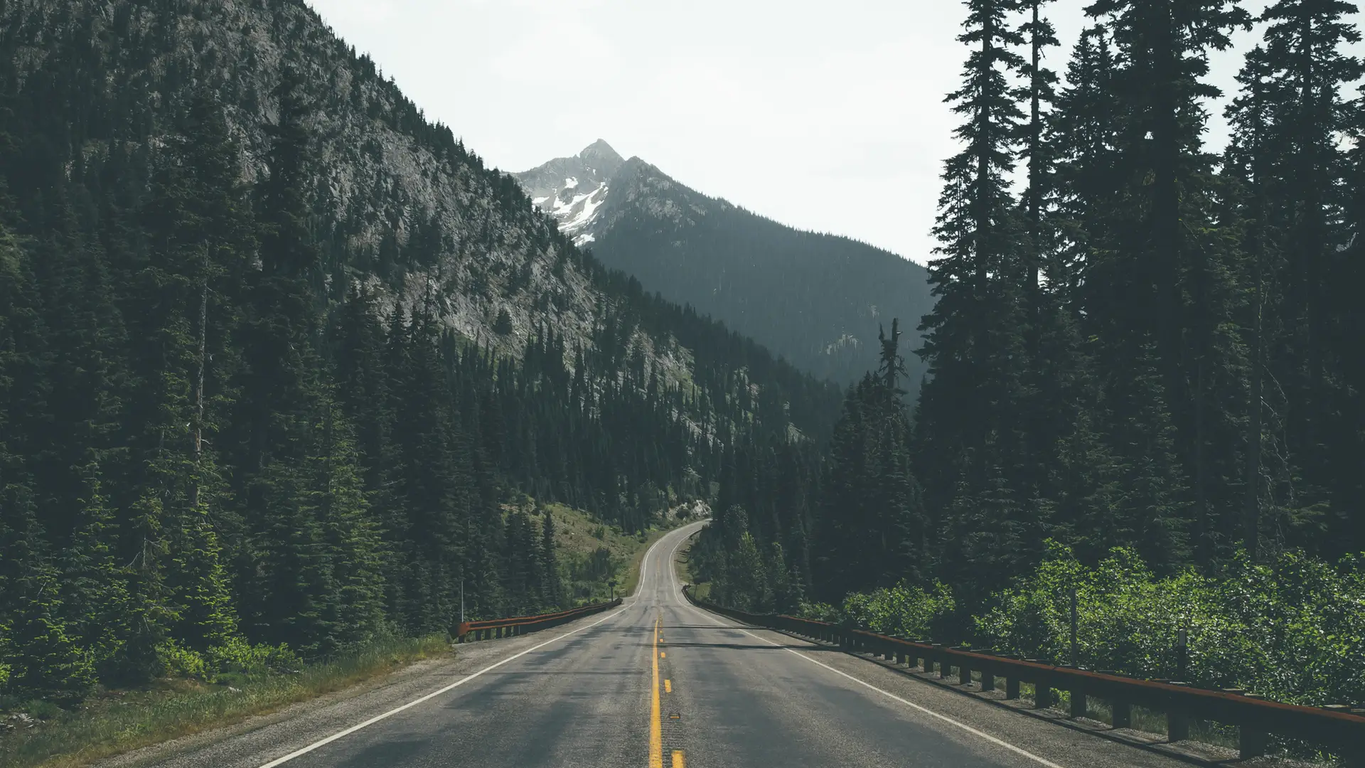 a_road_with_trees_and_mountains_in_the_background.jpg