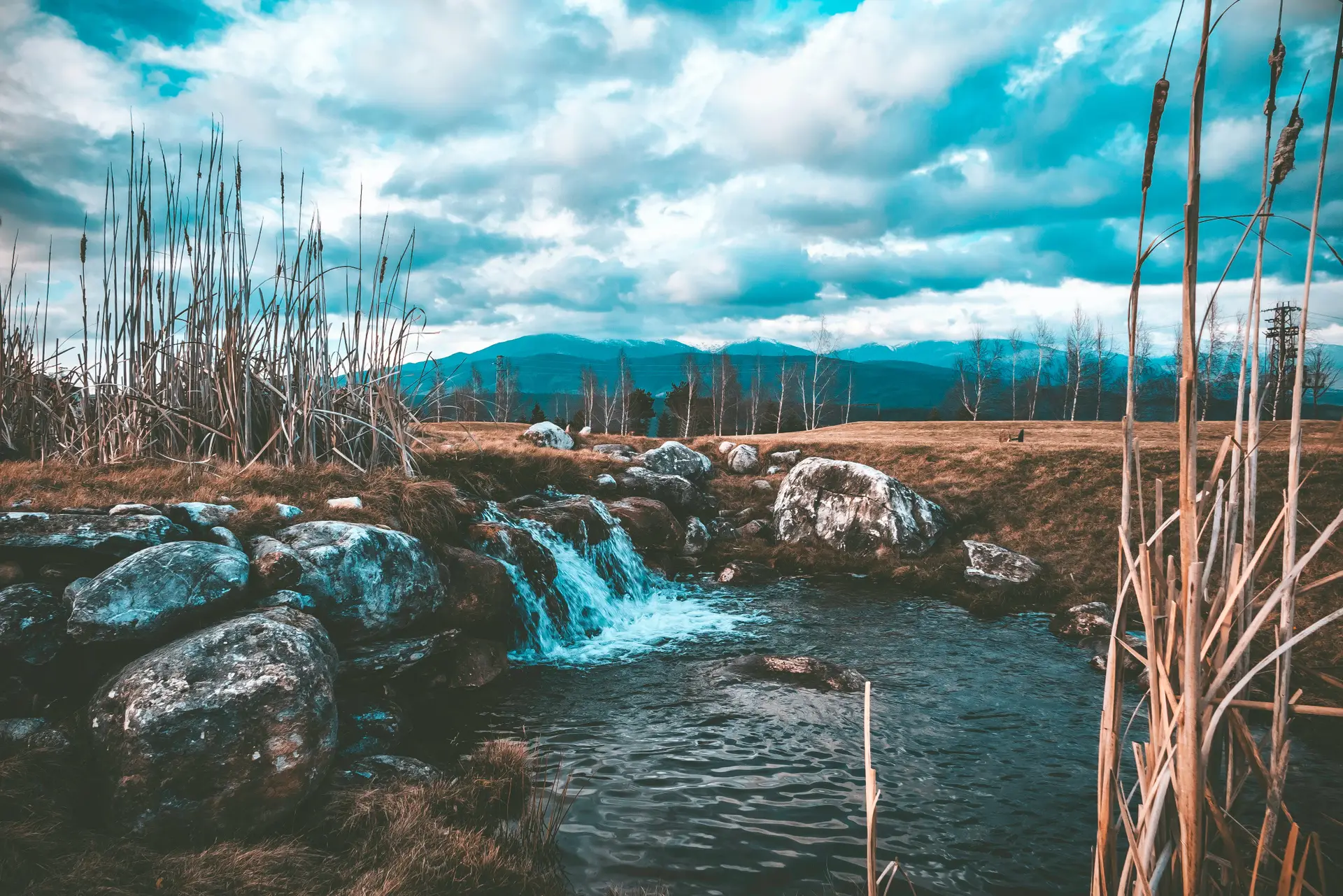 a_small_waterfall_in_a_grassy_area.jpg