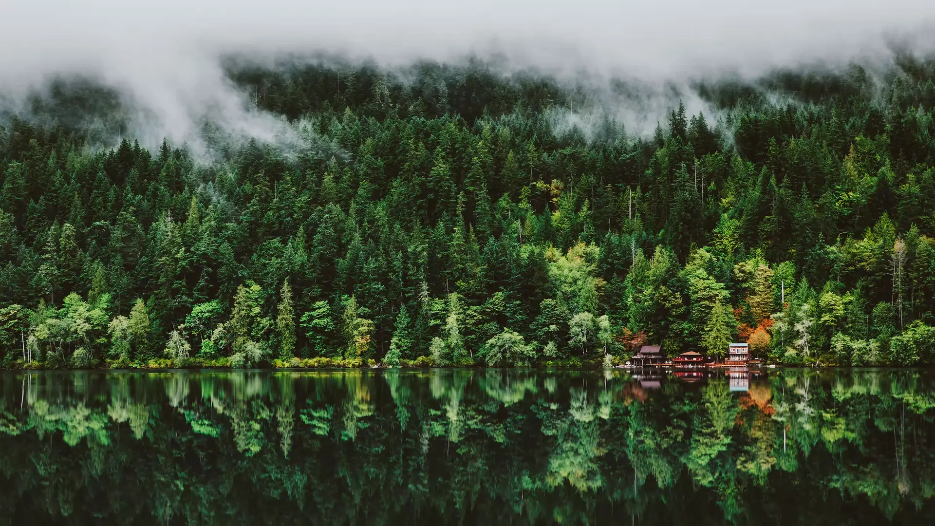 a_lake_with_trees_and_clouds.png