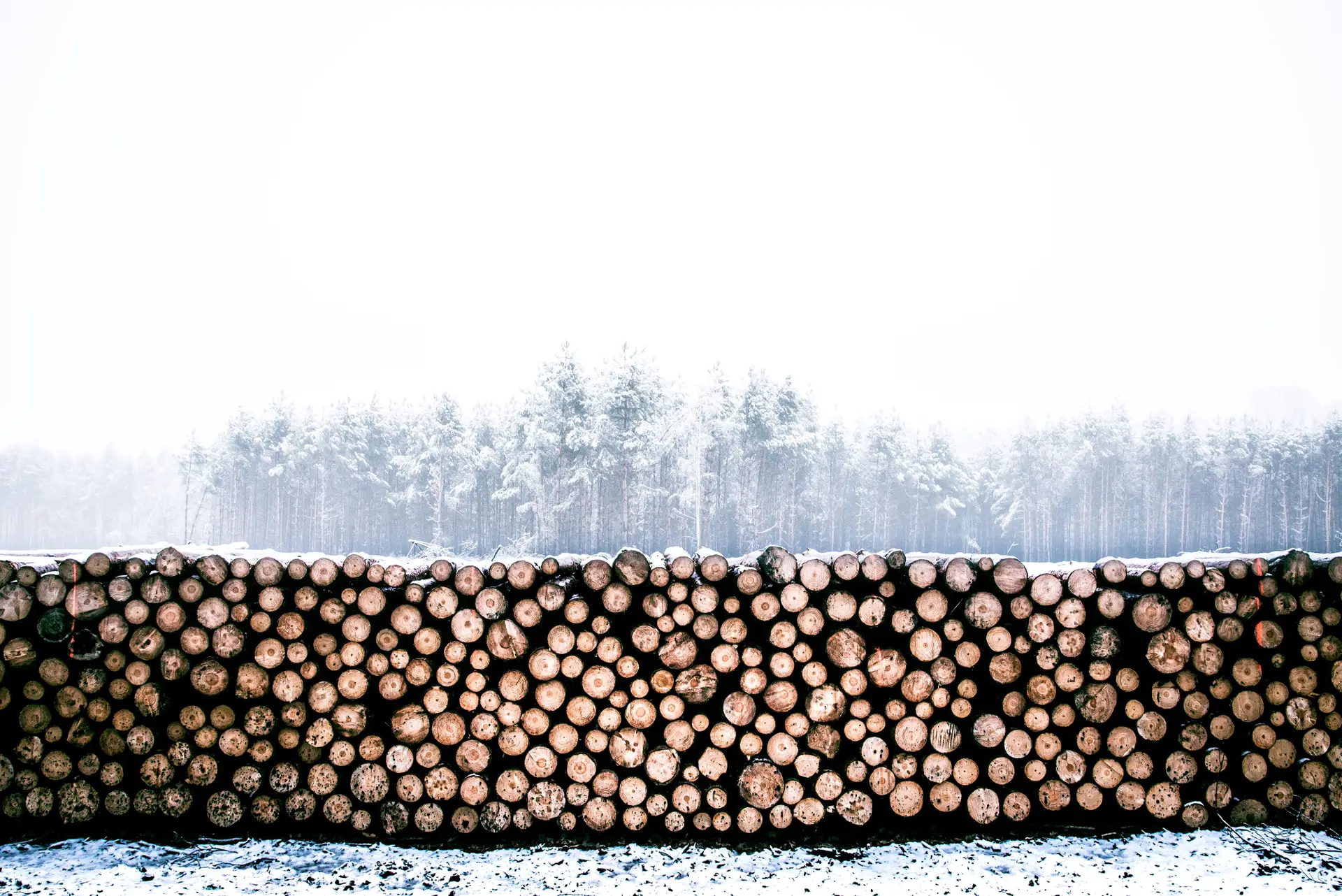 a_pile_of_logs_in_a_snowy_field.jpg