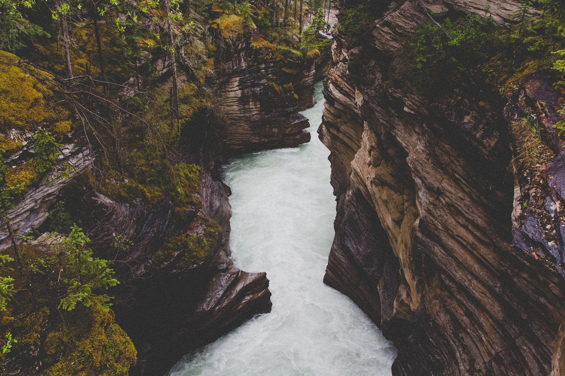 a_river_between_rocks_with_trees.jpg