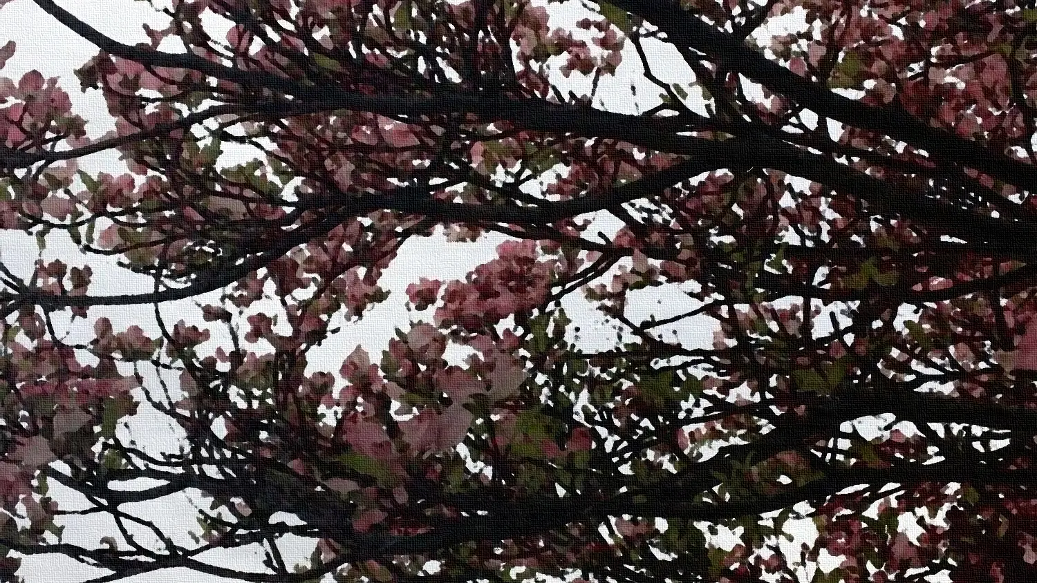 a_tree_with_pink_flowers.png