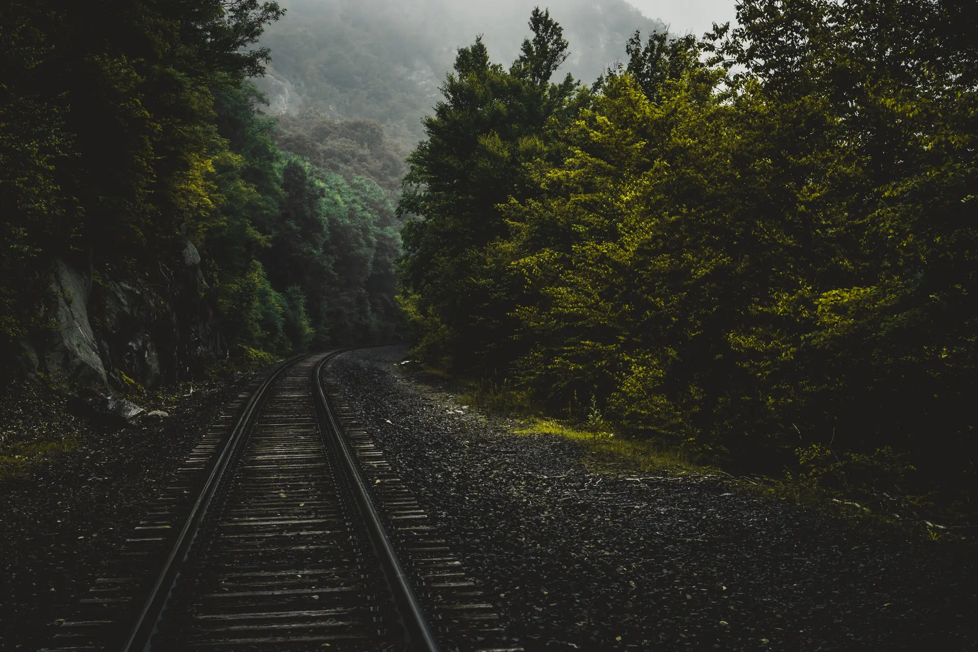 train_tracks_in_a_forest.jpg