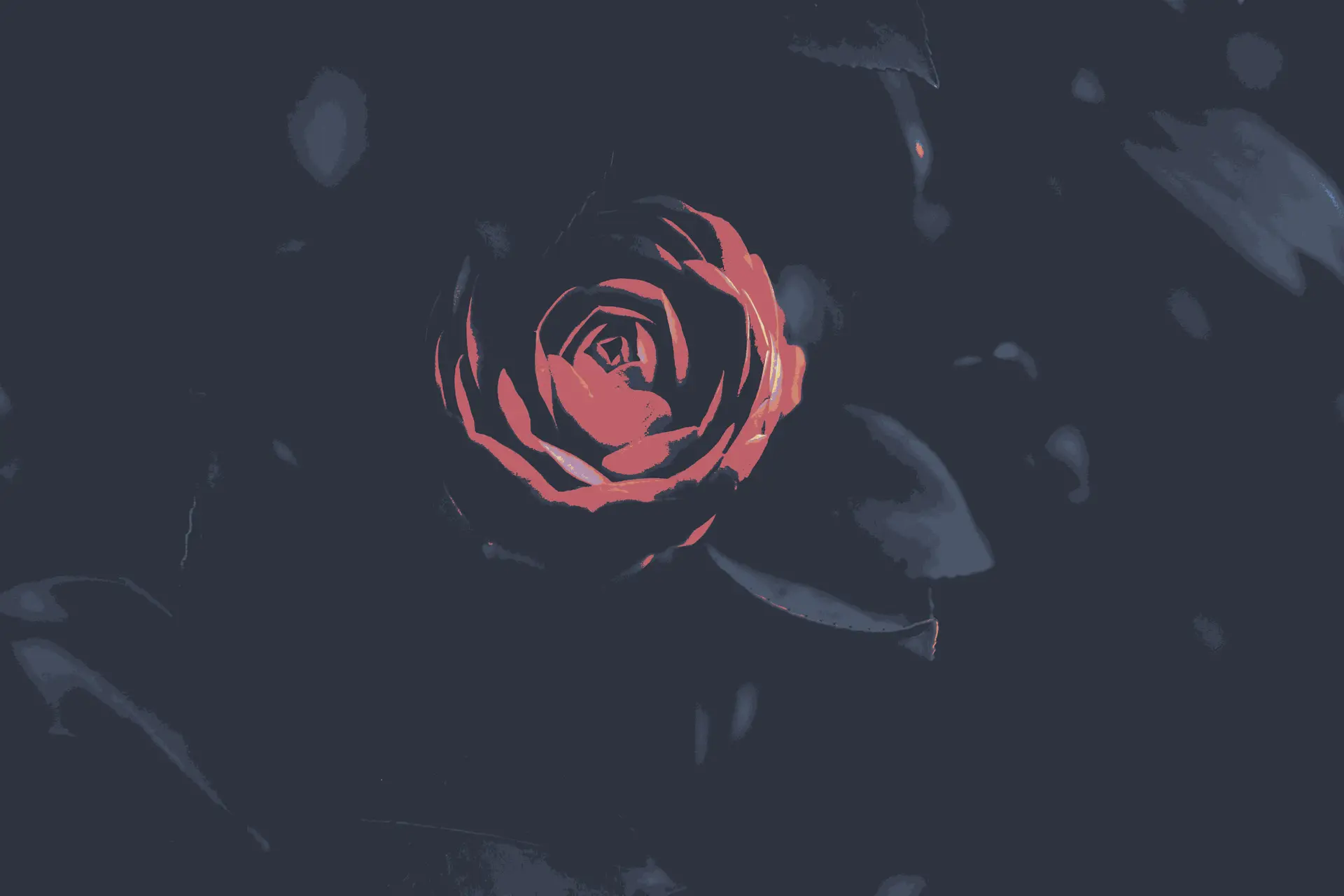 a_close_up_of_a_rose.png