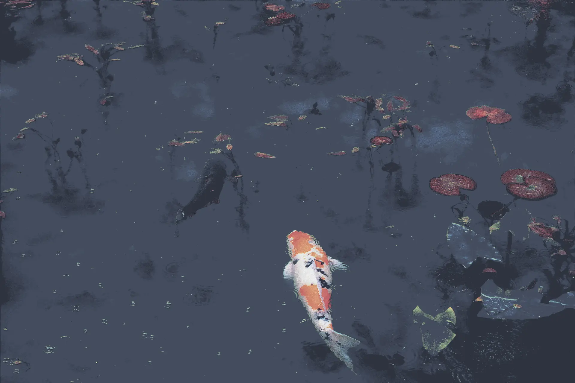 a_fish_swimming_in_water.png