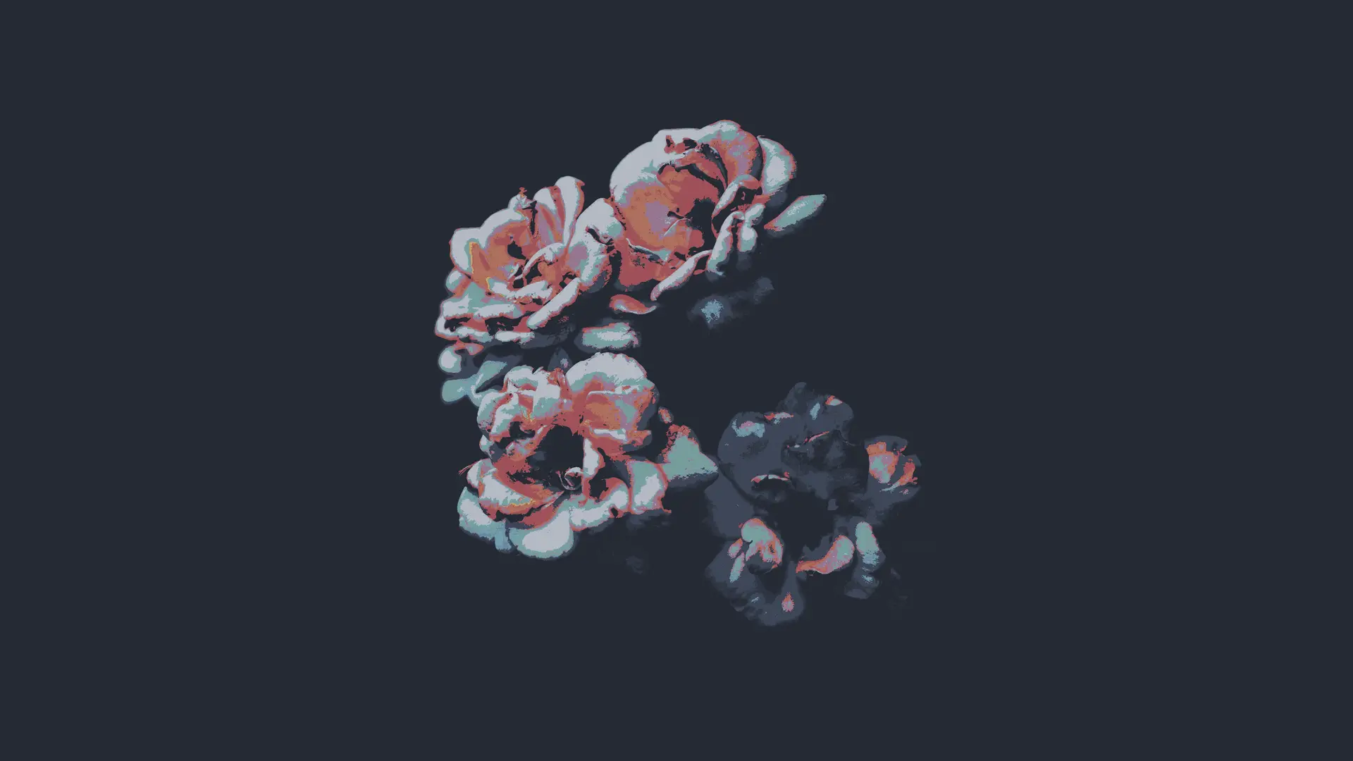 a_group_of_flowers_on_a_black_background.png