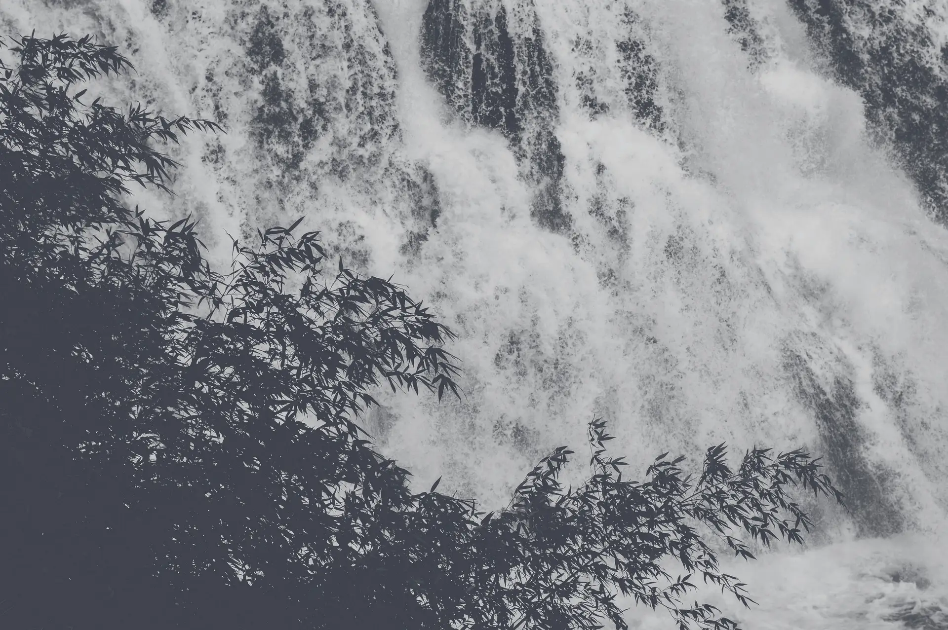 a_waterfall_with_trees_and_leaves.jpg