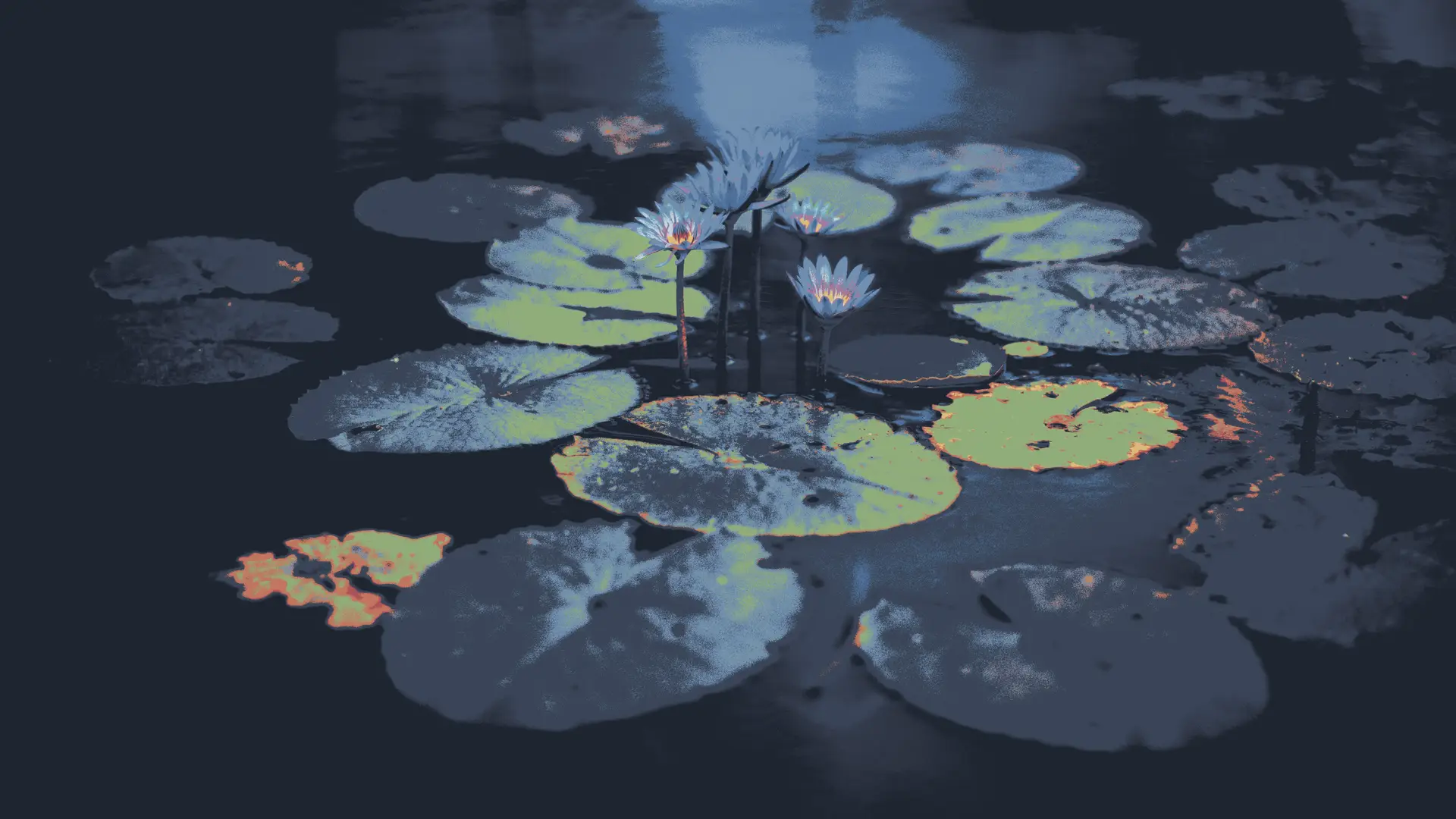 lily_pads_in_a_pond.jpg