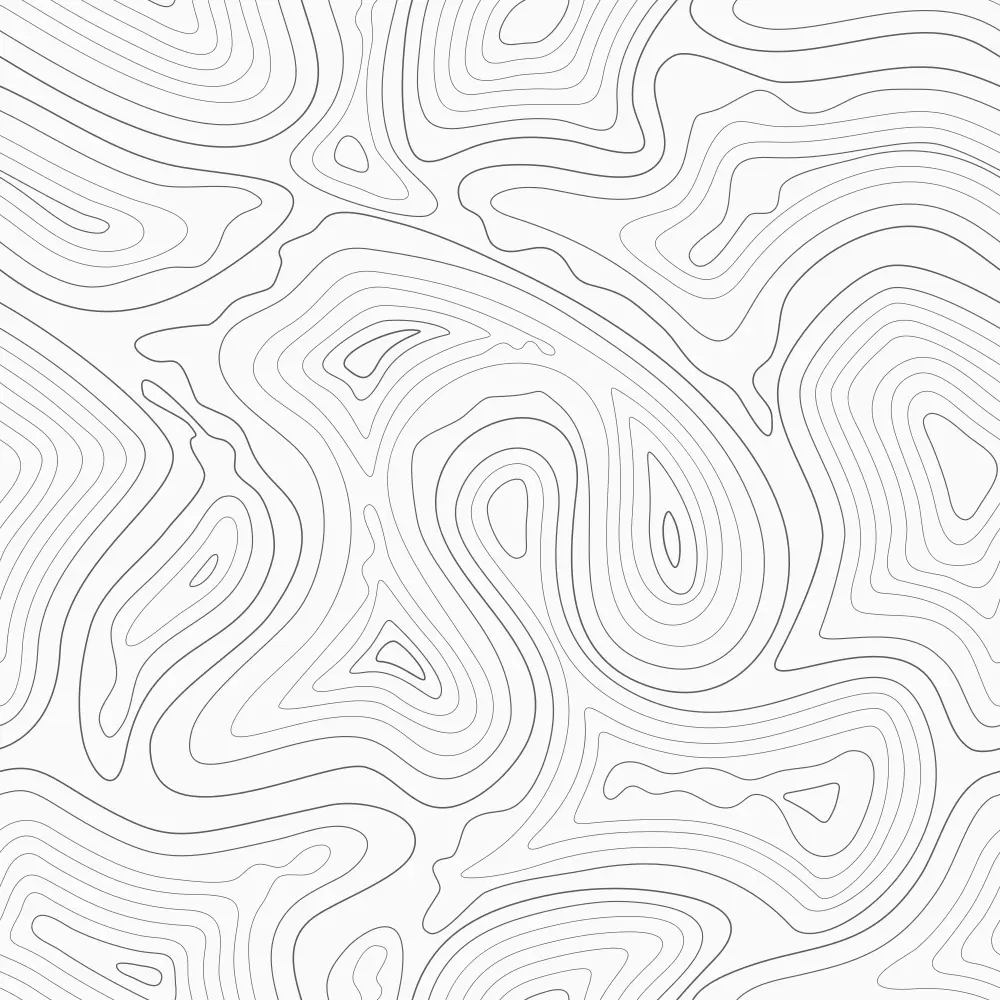 a_black_and_white_topographic_map.png