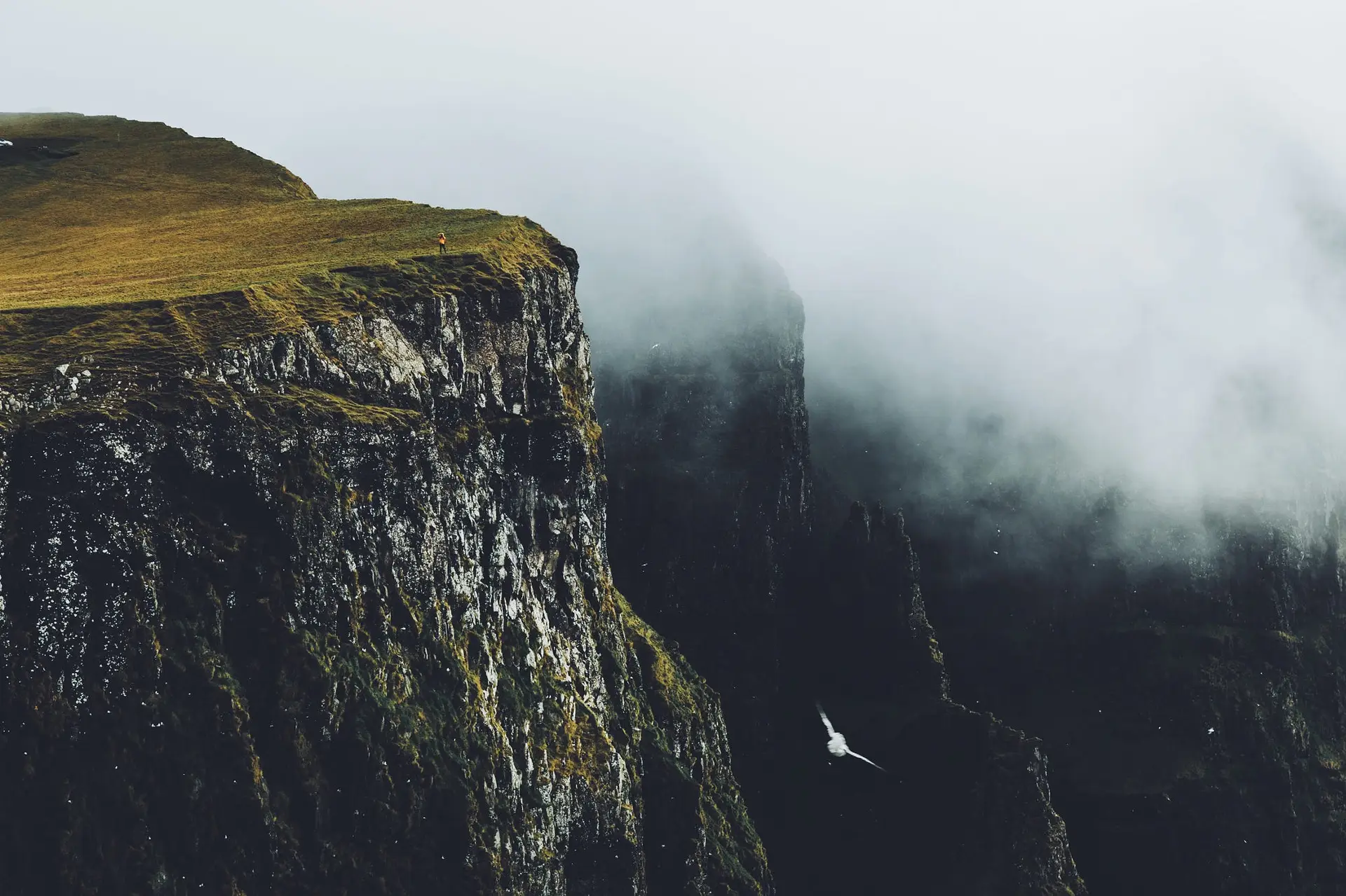 a_cliff_with_fog_and_grass.jpg