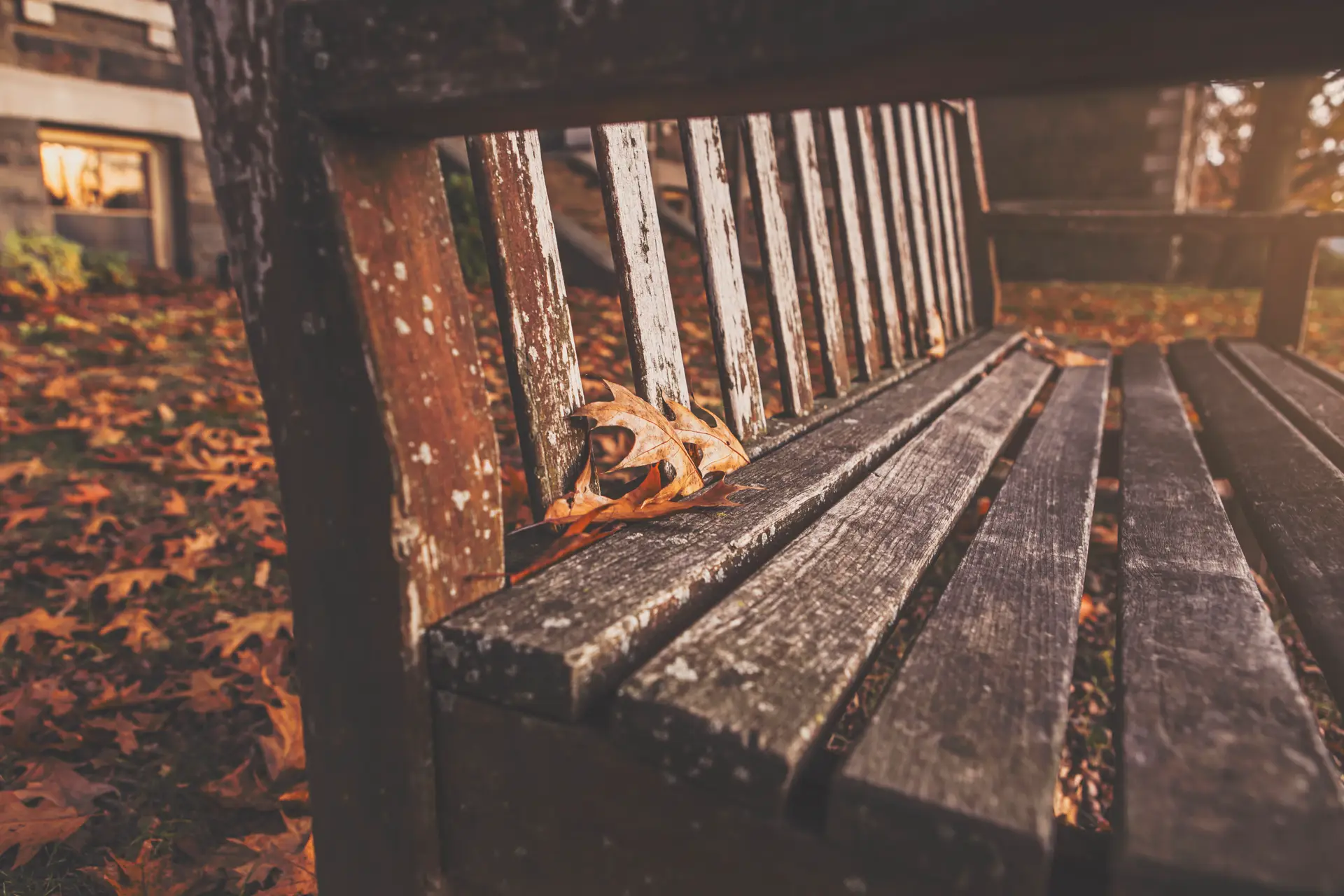 a_close_up_of_a_bench.jpg